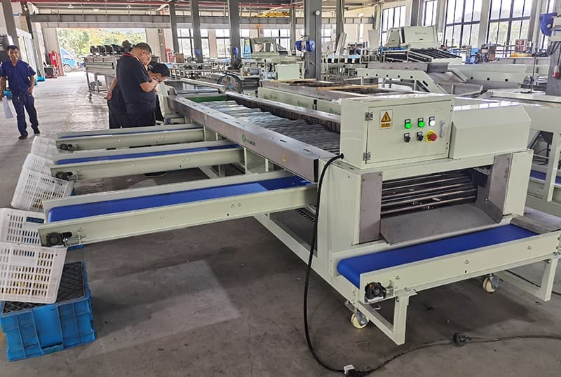 images/1690272418350jujubes grading machine.jpg